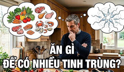 Ăn gì để có nhiều tinh trùng